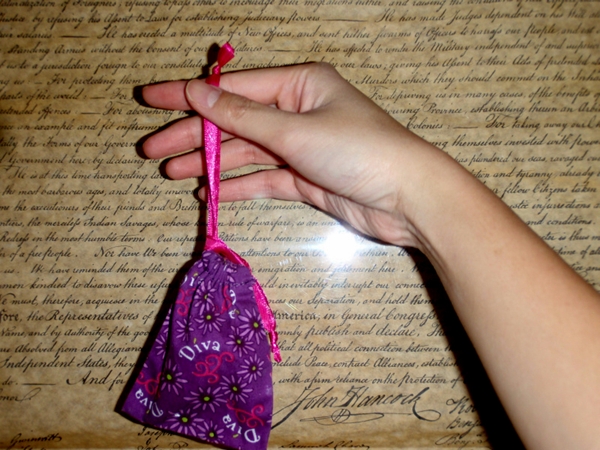 Diva cup in the bag diva cup in bag