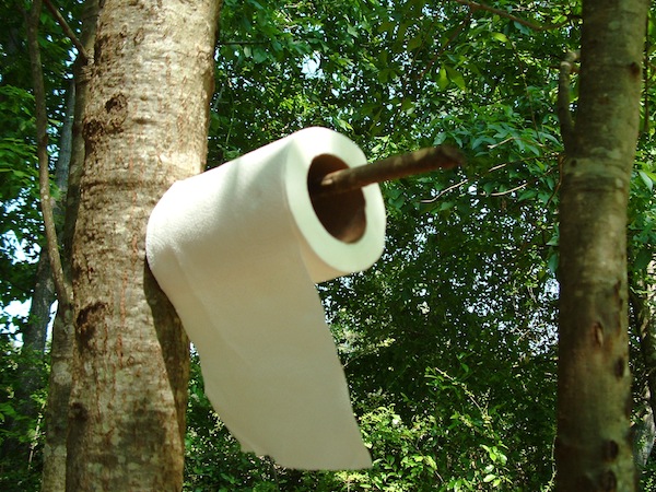 toilet paper